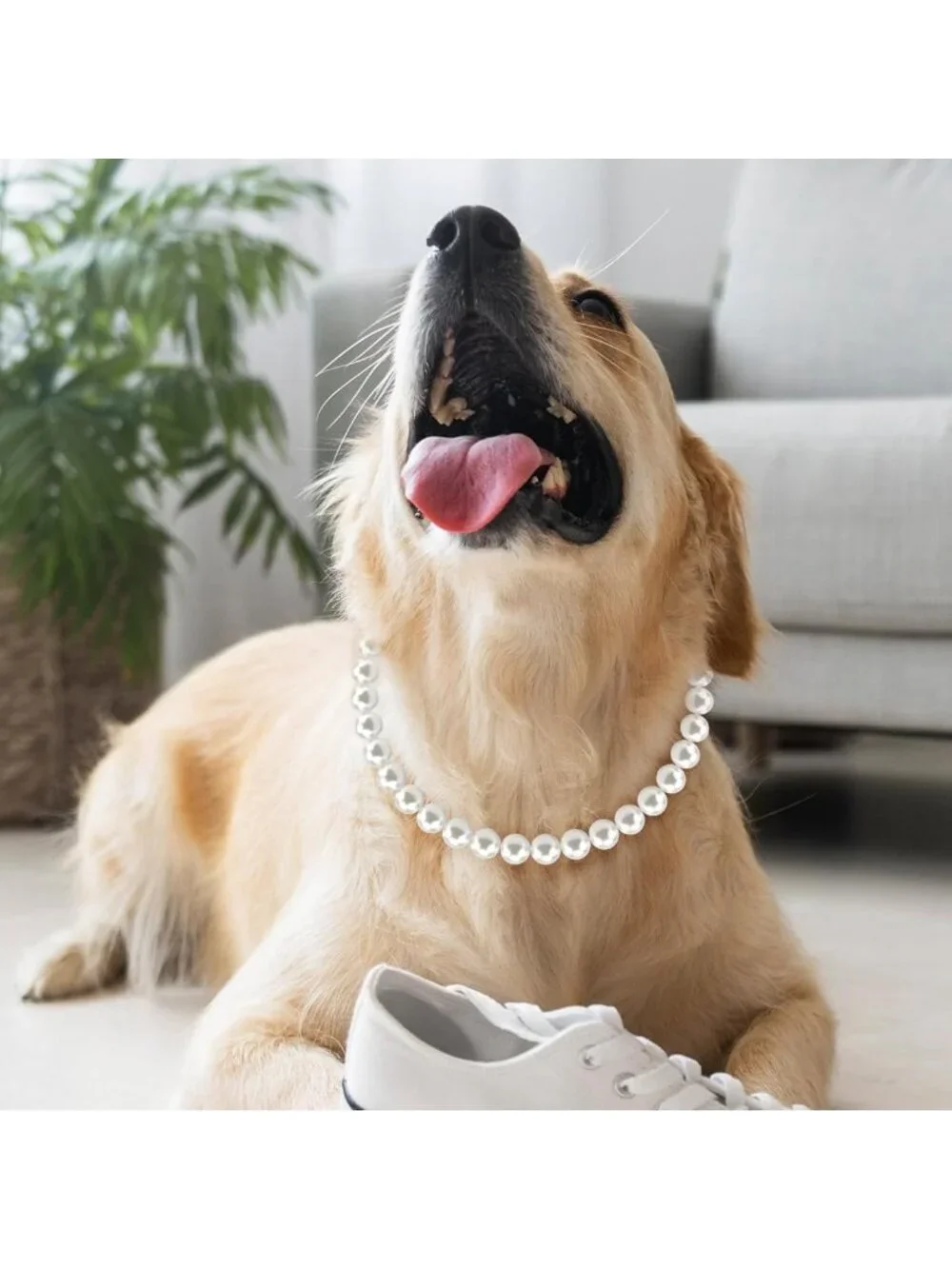 Elegant Chunky Pearl Dog Necklace - Adjustable 19mm Beaded Collar for Large Dogs